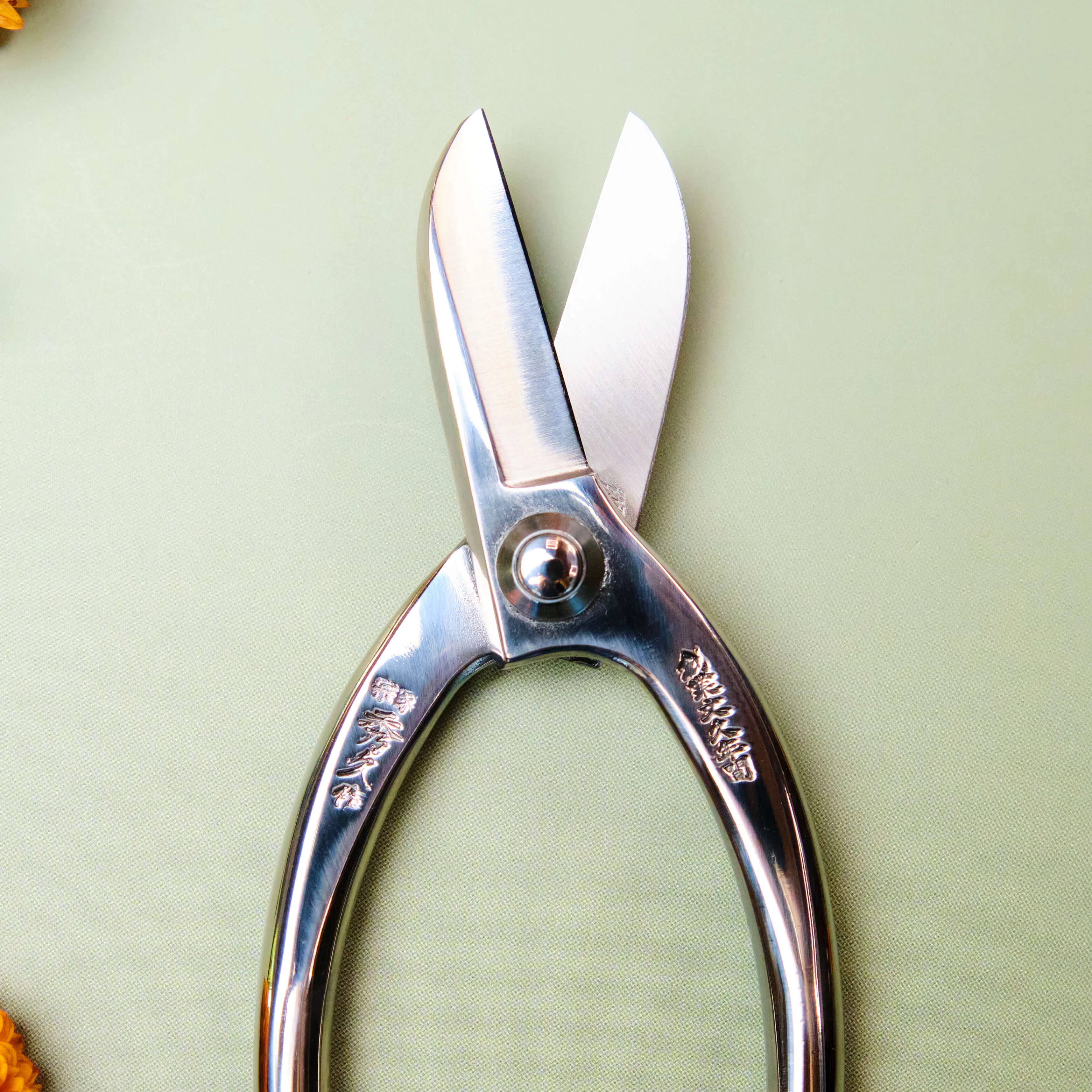 Stainless Steel Ikebana Shears